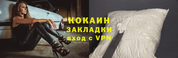 твердый Касимов