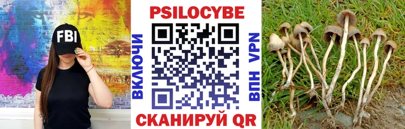 Галлюциногенные грибы Cubensis  Кяхта 